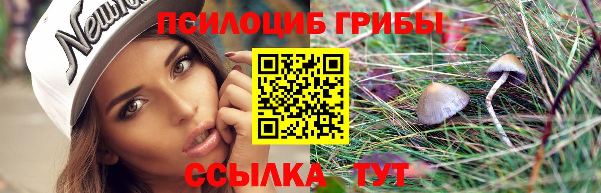 Нижневартовск  Галлюциногенные грибы прущие грибы  Вход с VPN 